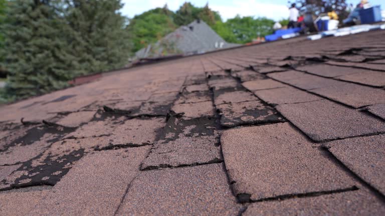 Best Skylight Installation and Repair  in Pelham Manor, NY
